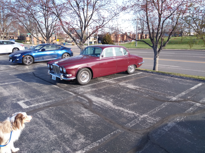 Illustration for article titled Cars & Coffee STL